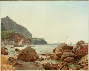 Den store flåde på øen Capri af Jakob Alt