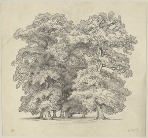  af Jakob Becker