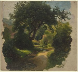 Skovsti af Jakob Becker