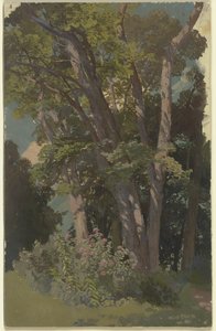 Parkstudie, lysning af Jakob Becker