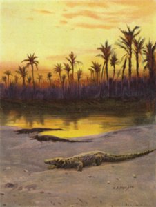 Krokodille (solnedgang) på bredden af Øvre Nilen (farve litho)