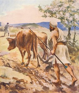 Det hellige land: Pløjning nær Nazareth (farvelitografi) af James (after) Clark