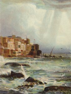Joppa (farve litografi) af James (after) Clark