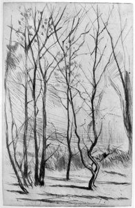 The Dam Wood, c1875 1904. af James Abbott McNeill Whistler
