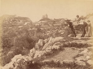 Capri [barn på muldyr] af James Anderson