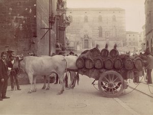 Vogn med okser, Perugia, 1880