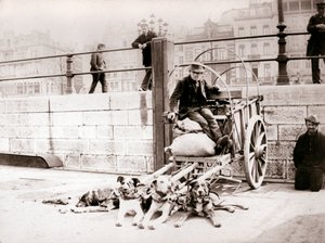 Mand med hundevogn, Antwerpen, 1898. af James Batkin