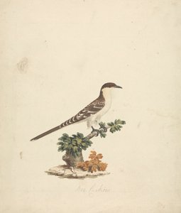 Bee Gøg af James Bruce