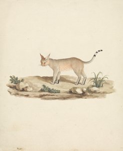Opstartet Lynx af James Bruce