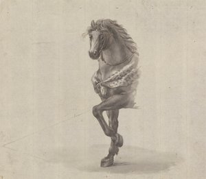 Studie af forsiden af en hest af James Bruce