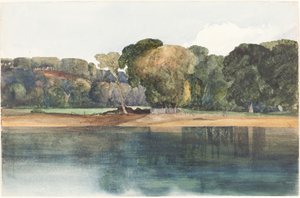 Landskab med træer og vand