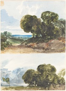 To skitser af træer. af James Bulwer