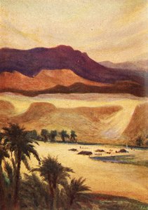 En Palæstinalejr ved Elim - Heb. xiii. 11, c1924. Skaber: James Clark, Henry A Harper.