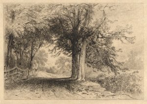 A Farm Lane, januar 1887, opus 2 af James David Smillie