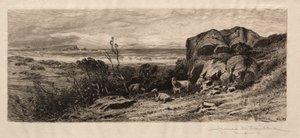 Ved Marblehead Neck af James David Smillie