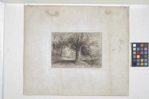Landskab (ætsning, chine collé)