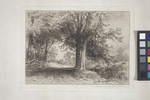 Landskab (ætsning, chine collé)