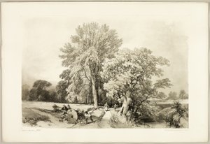 Abele og Eg, fra Parken og Skoven af James Duffield Harding