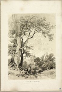 Bøg og eg (Frontis), fra Parken og Skoven af James Duffield Harding