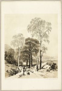 Birk og Eg, fra Parken og Skoven af James Duffield Harding