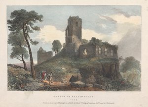 Castle of Ballincolly af James Duffield Harding