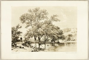 Almindelig pil, fra Parken og Skoven af James Duffield Harding