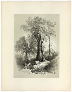 Shipley Bridge, Devon, fra Picturesque Selections af James Duffield Harding