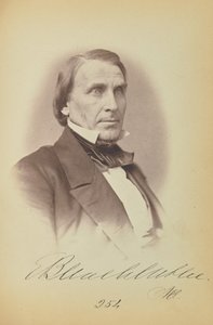 Elihu B. Washburne af James Earle McClees