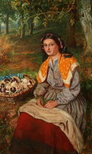 Svampesamleren af James Edgar