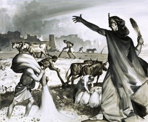 Karthagos storhed og fald: Den romerske forbandelse over Karthago af James Edwin McConnell