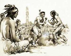Hvad skete der egentlig Der var virkelig en Hiawatha af James Edwin McConnell