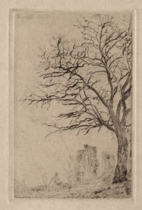 Akacie af James Ensor