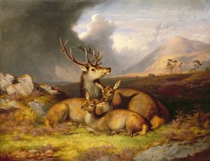 Highland Felicity, Ben Lebrig i baggrunden