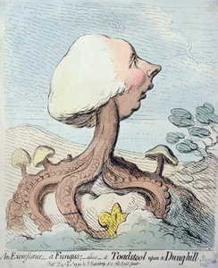 En Udbredelse; En Svamp; Alias - A Toadstool upon a Dung-hill, udgivet af Hannah Humphrey i 1791 (radering med wc)