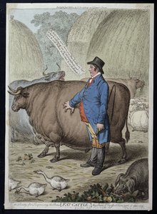 Fat Cattle, udgivet af Hannah Humphrey i 1802 (håndfarvet radering)