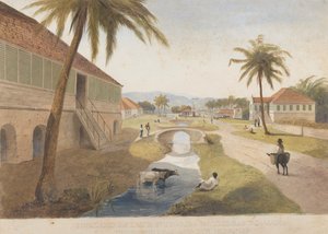 Holland Estate, St. Thomas i Østen, Jamaica [En af ]