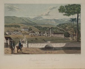 Montpelier Estate, St. James