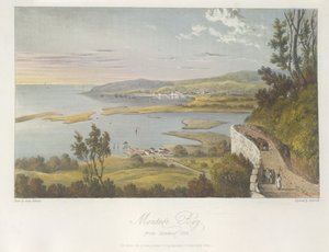 Udsigt over Montego Bay fra Reading Hill, illustration fra 