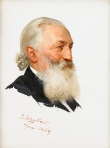 Studie af en skægget gentleman, 1889