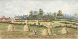 Chirton fra Meadowell Farm (akvarel og kropsfarve på papir)
