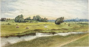 Ryton Meadows (akvarel og kropsfarve på papir)