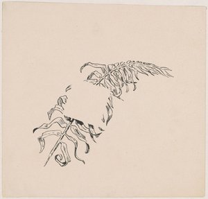 Afdeling af James Henry Moser