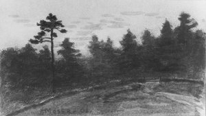 Landskab fra McGuire Scrapbog, 1908.