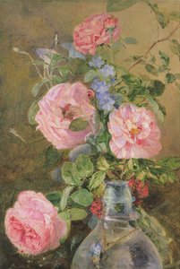 Roser, Convolvulus og Delphiniums