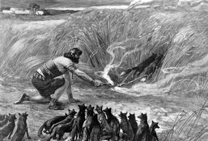 Samson og rævene af J James Tissot - Bibelen