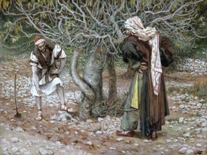 The Barren Fig Tree, illustration til The Life of Christ, ca. 1886-94 (wc & gouache på pap) af James Jacques Joseph Tissot