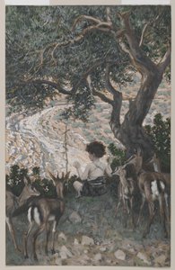 Johannes Døberens barndom, illustration fra Vor Herre Jesu Kristi liv (wc over grafit på papir) af James Jacques Joseph Tissot