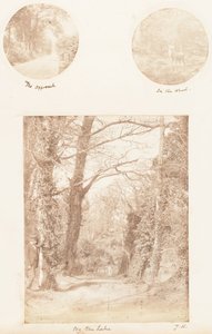 Tilnærmelsen, i skoven, ved søen, 1853-56.