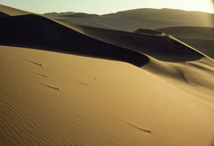Udsigt over skarptskårne, skyggefulde klitter nær Dunhuang. Gansu-provinsen, Folkerepublikken Kina. af James L Stanfield