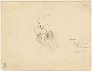 Sommerfugl af James McNeill Whistler